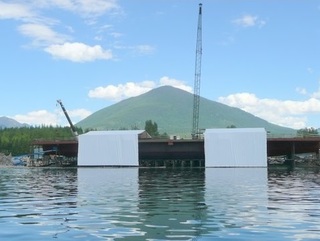 both-module-5s-fit-up-320x241